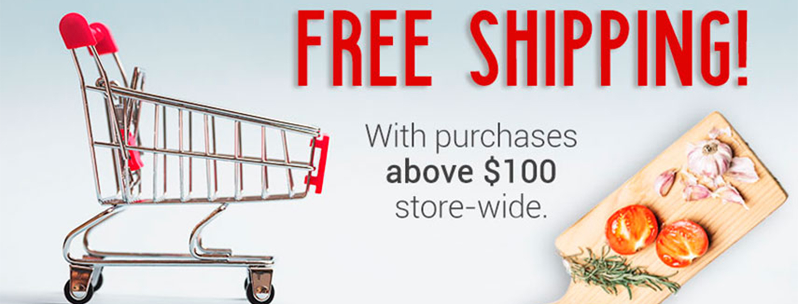 Free Shipping Above $100